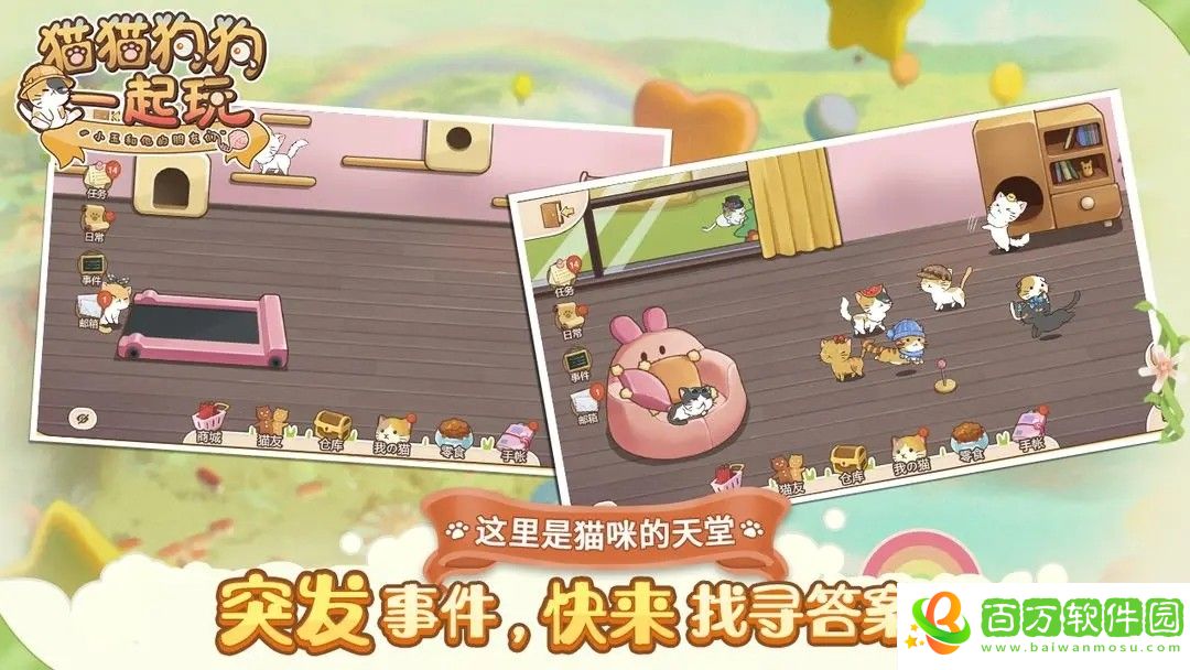貓貓狗狗一起玩