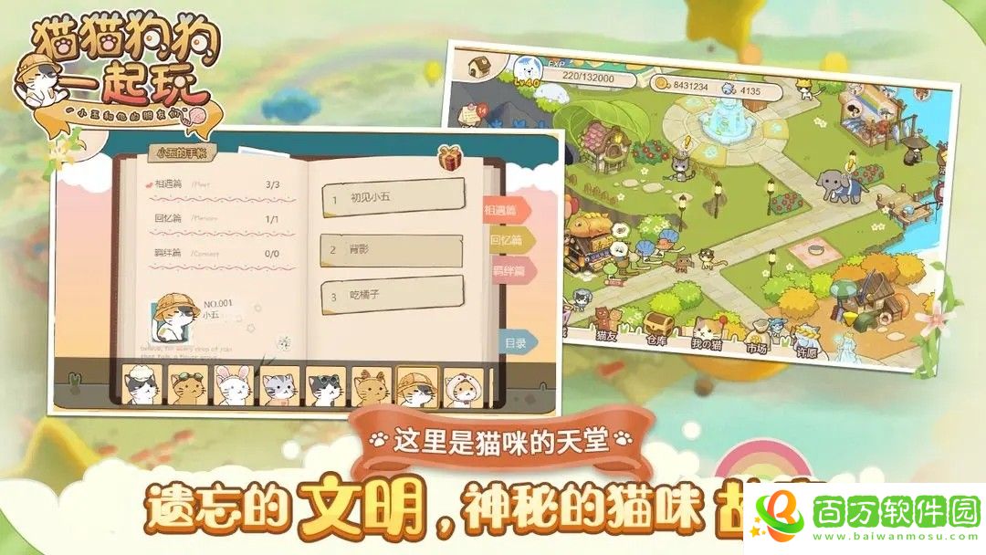 貓貓狗狗一起玩