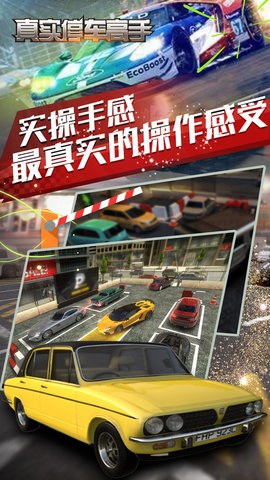 真實(shí)停車高手
