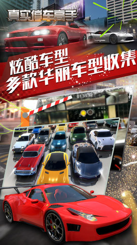 真實(shí)停車高手